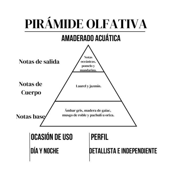 Perfume de hombre de Amakha París, Perfume de Amakha París, Perfume Imortal de Amakha París, Perfume de 15ml, Perfume de alta fijación, Invictus - Paco Rabanne