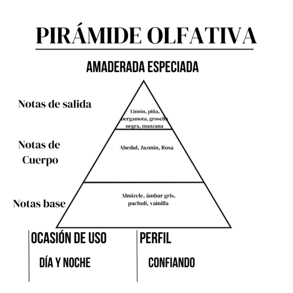Perfume Árabe Malik Nuit 15 ml - Imagen 5