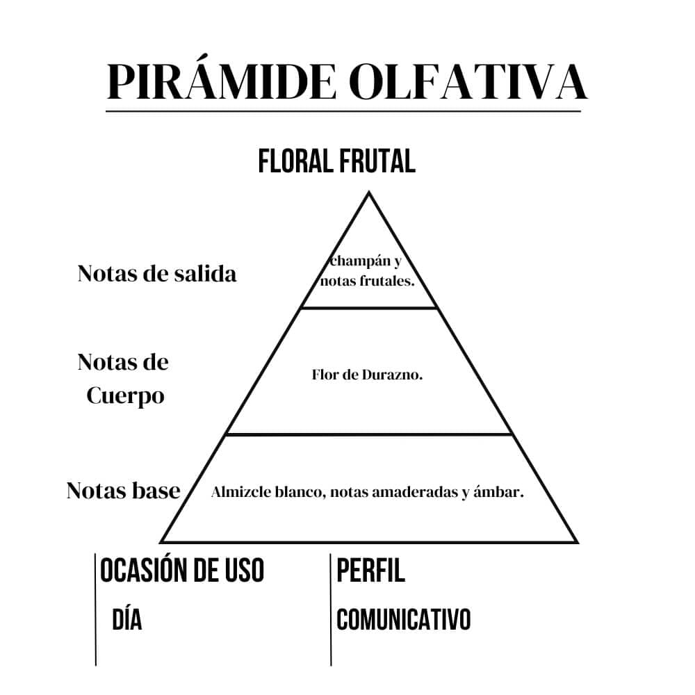 521 vip rose, 212 Vip Rosé - Carolina Herrera, perfumes de amakha paris, perfumes por mayor, perfumes de alta fijación